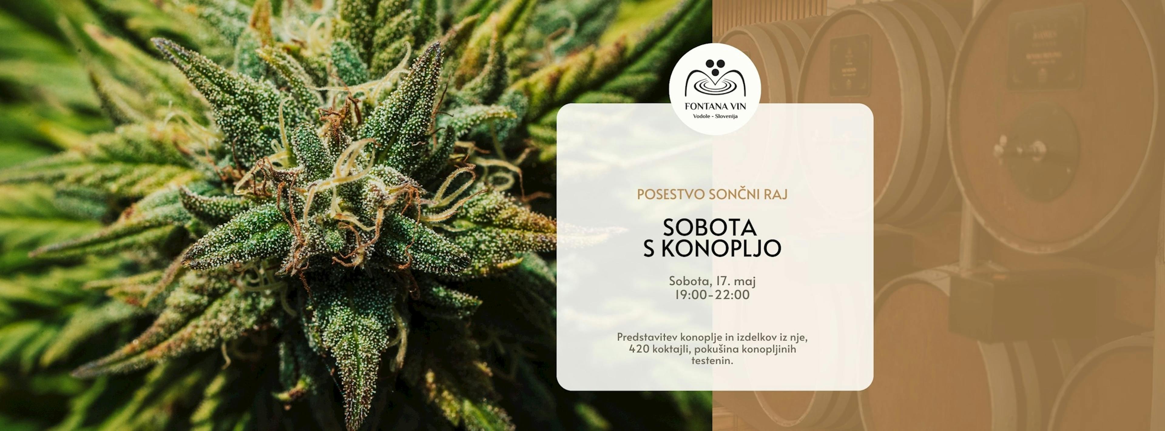 Tokrat bo v ospredju konoplja – rastlina, zaradi katere je nastalo celotno posestvo.